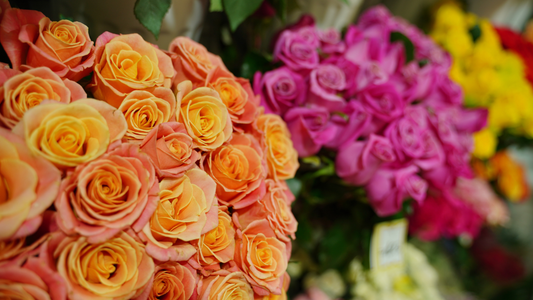 How to Choose a Reliable Flower Supplier in South Africa
