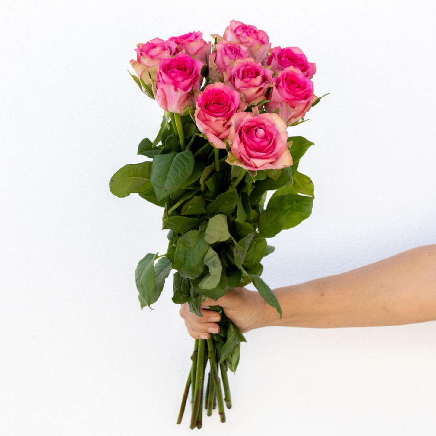 Madame Pink – Wholesale Roses South Africa